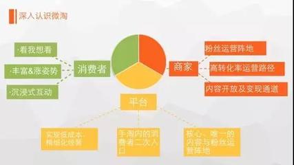 微淘運營全攻略 如何將公域流量轉化為私域增長新引擎？